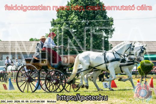 Mintakép 20260509-406