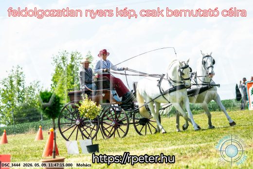 Mintakép 20260509-407