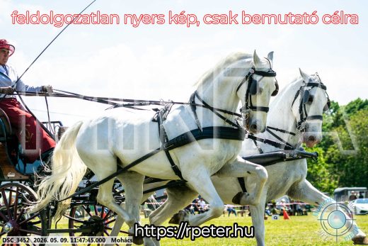 Mintakép 20260509-411