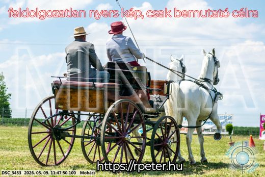 Mintakép 20260509-412