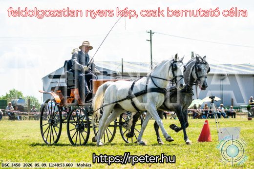 Mintakép 20260509-415