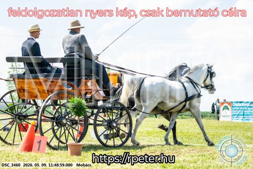 Mintakép 20260509-417