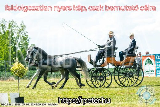 Mintakép 20260509-418