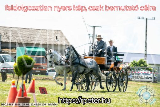 Mintakép 20260509-419