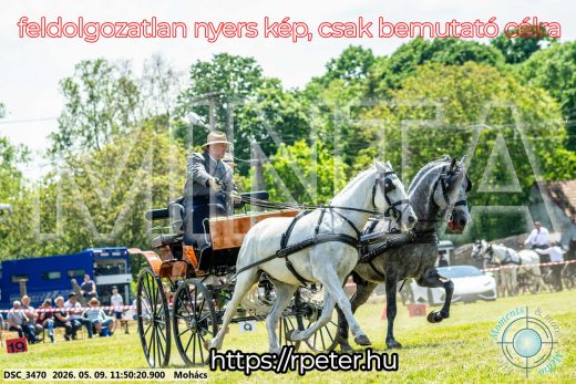 Mintakép 20260509-421