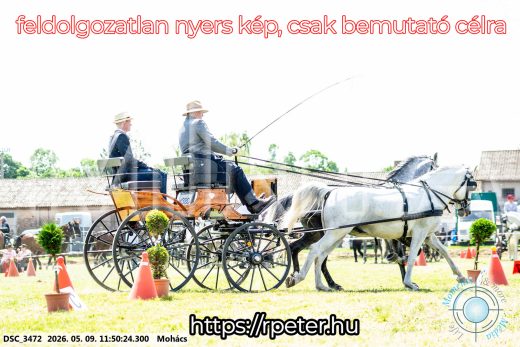 Mintakép 20260509-423