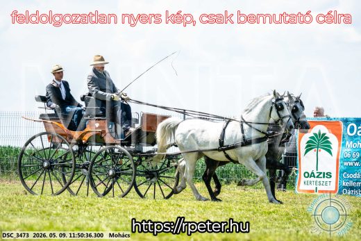 Mintakép 20260509-424