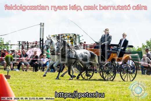 Mintakép 20260509-427
