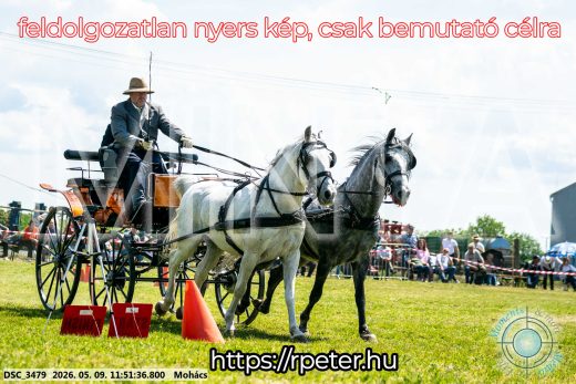 Mintakép 20260509-428