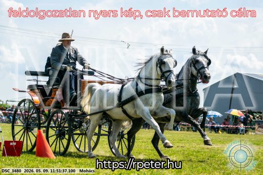 Mintakép 20260509-429