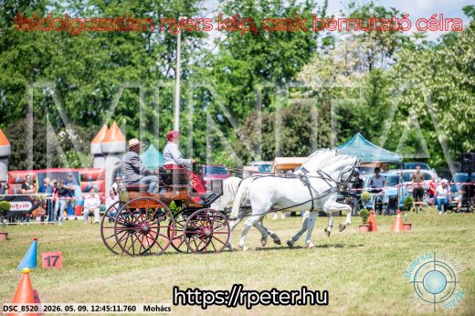 Mintakép 20260509-436