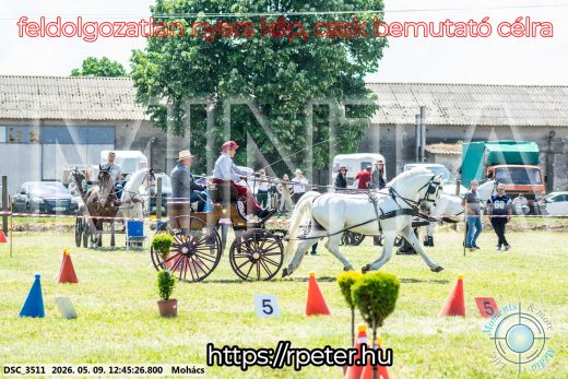 Mintakép 20260509-437