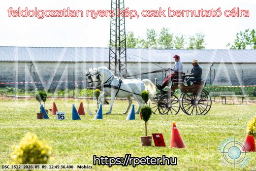 Mintakép 20260509-438