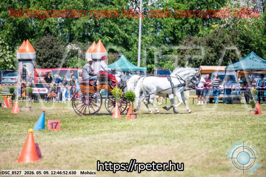 Mintakép 20260509-444