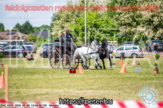 Mintakép 20260509-450