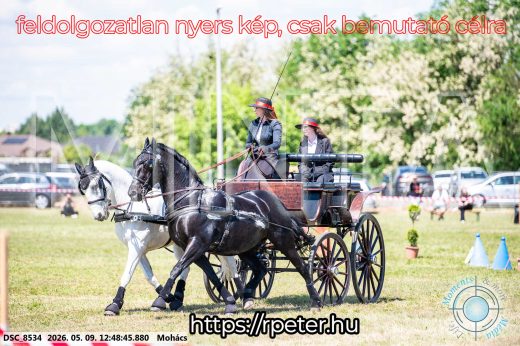 Mintakép 20260509-451