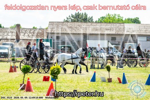 Mintakép 20260509-453