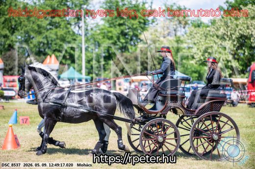 Mintakép 20260509-454
