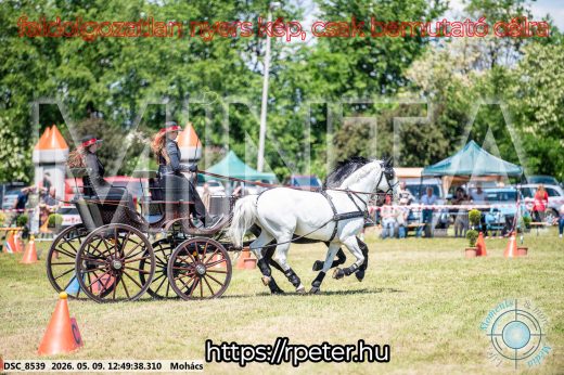Mintakép 20260509-456