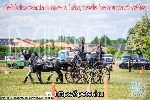 Mintakép 20260509-457