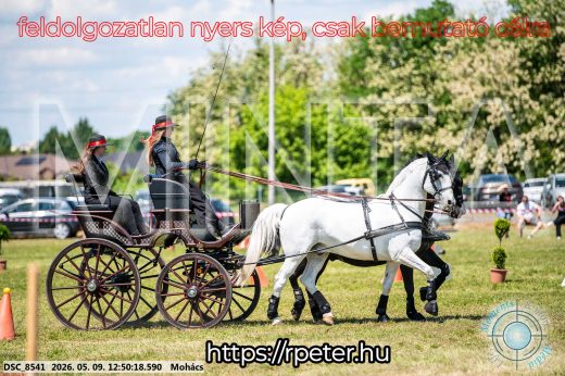 Mintakép 20260509-458