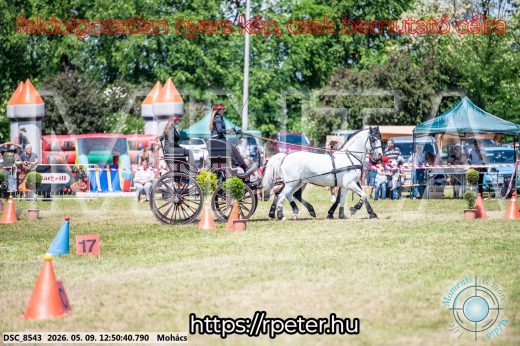 Mintakép 20260509-460
