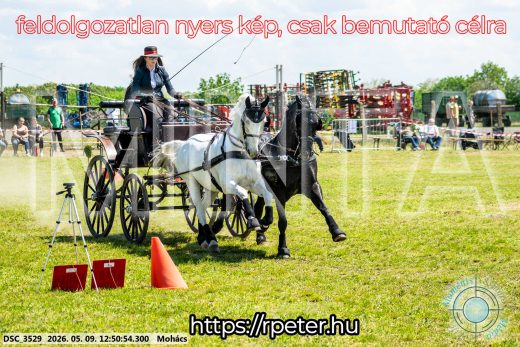 Mintakép 20260509-462