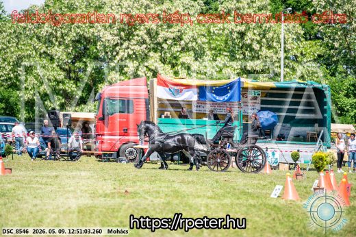 Mintakép 20260509-463