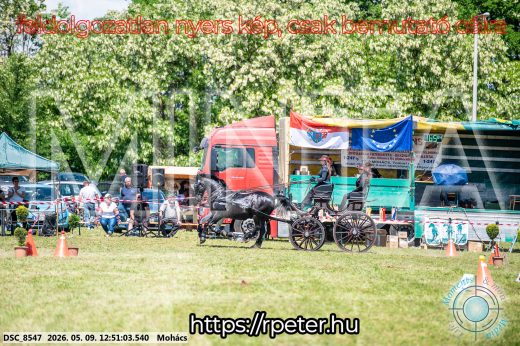 Mintakép 20260509-464
