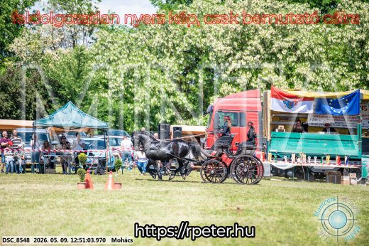 Mintakép 20260509-465