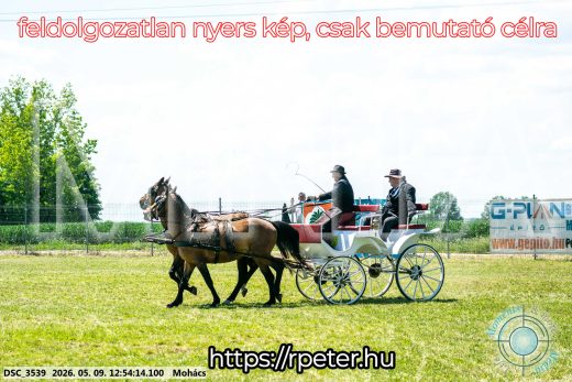 Mintakép 20260509-466