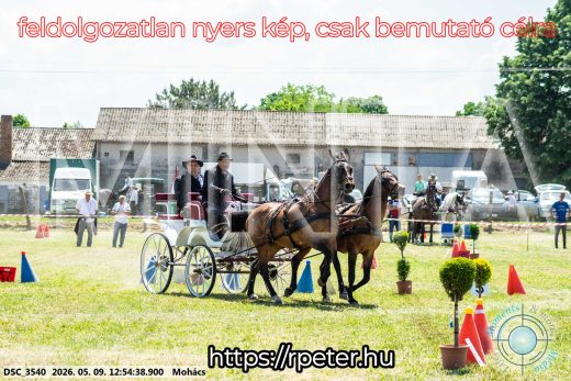 Mintakép 20260509-467