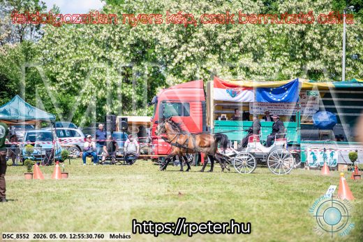 Mintakép 20260509-471