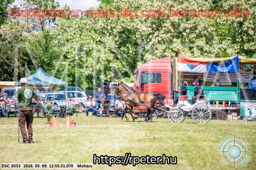 Mintakép 20260509-472
