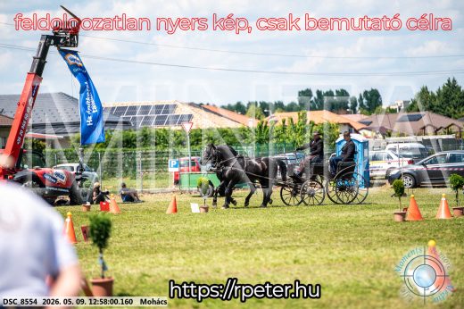 Mintakép 20260509-474