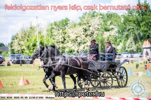 Mintakép 20260509-476