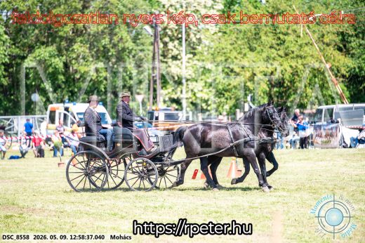 Mintakép 20260509-478
