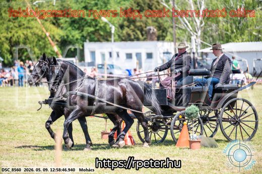 Mintakép 20260509-479