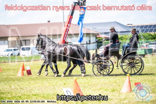 Mintakép 20260509-482