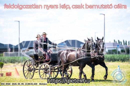 Mintakép 20260509-484