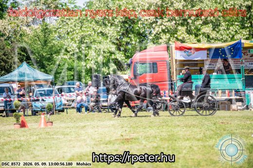 Mintakép 20260509-488