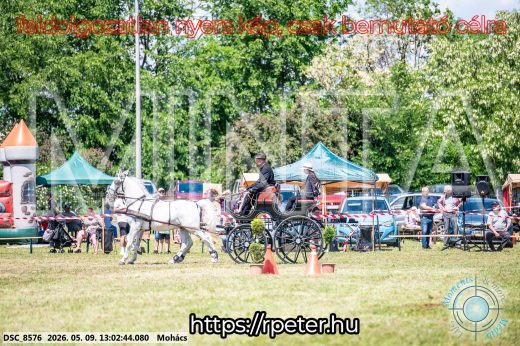 Mintakép 20260509-492