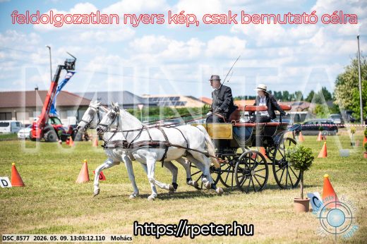 Mintakép 20260509-493