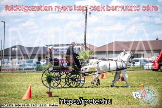 Mintakép 20260509-495