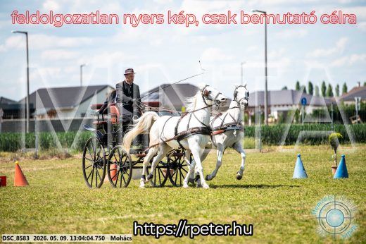 Mintakép 20260509-497