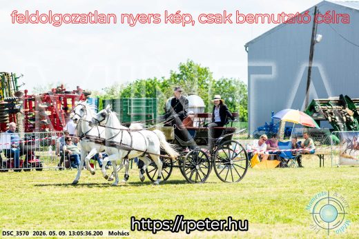 Mintakép 20260509-505