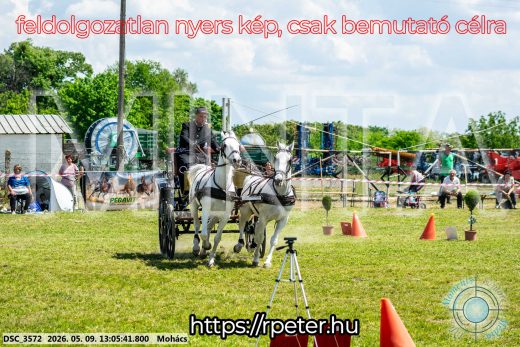Mintakép 20260509-506