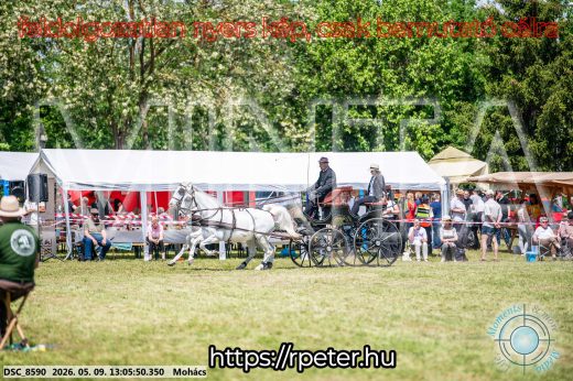 Mintakép 20260509-508
