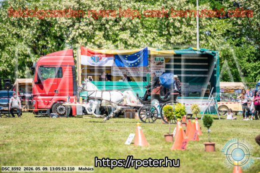 Mintakép 20260509-510