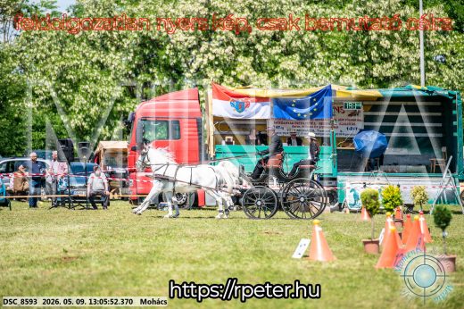 Mintakép 20260509-511